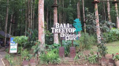 Bali Treetop Adventure